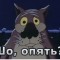 e7f-p1g3j7ml9cahs1k611pug1vs9j0d4.jpeg
