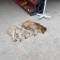 015-p1g2hpmb95e261b4v1dug1t8j14sg7.jpeg