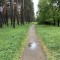95a-p1g51642im15o5n6d1pqm1hhau1s4.jpeg