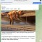 9f2-p1ger8ucel1b9ss791n591n0ubhf5.jpeg