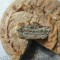593-p1hg0ho6m92o2c7j1cpm15uc1fjb4.jpg