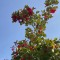 3c3-p1gcc0co2p1a1f55j1tfd1c1hrl5.jpeg