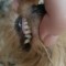 9cc-p1d31iibqp1d9u12mm1jks12g9rke6.jpg