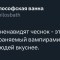 856-p1ij0goql21uhq1juqtug1c9217kd4.jpeg