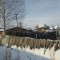 e91-p1gmdo7cch1gcbv7k15squ3t1i5g4.jpg