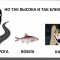aaf-p1ifu0q3k1q671avvu381vmqmla5.jpeg