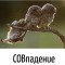 d66-p1ihic8k0t1jt19cv1bet1cfk1bk54.jpeg