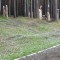 e61-p1gq6ne2i0115gnf4p0h18vo16b34.jpg