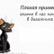 dfb-p1gs27cg80g891jtd1etp10itqou5.jpeg