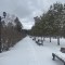 ead-p1gtcuv0m7dk61ir51ct32gl7ik4.jpeg