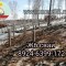 e2a-p1h024bhh21542uk65245253cq5.jpg