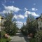 44c-p1h84if8nokvmjea3nf1eu214gh5.jpg