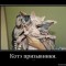 5bbd9e63ee482e9d5c4ca54bf466e97f-1327612729-kotye-prizyvniki..jpg