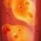 5ced6a45c4034ea8813edafbea3d7ab1-87.jpg
