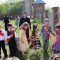 60262342b8b3e2b5284b9cce10502dd9-img_1523.jpg