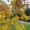 3dc-p1i8u088e5140e19bo1if91bjo1qoh8.jpeg