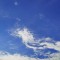 ed0-p1k11r5uh21d3kuru128f1rv166s4.jpg