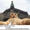 6b96b72f5877decd9249842ffe516e28-original5.jpg