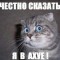 Я в шоке от Тали Л.jpg