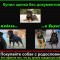 73b970aa37dab6938155a63fb6cda101-dqfyey_fevs.jpg