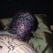 7656f5d693a3494c82372dcecf8a0ce3-vot.jpeg