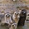 7d7ef67e51aff4c9b146954bacefbbd4-enoty.jpg