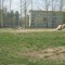 802ca4dae95726b3d4d0ec4f14c194d1-img_4771.jpg