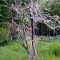 812d7520eeedfe024e36550d8fb40bff-foto0016.jpg
