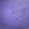 8460ad1dc3c0a99339b2a1f5346ea3d1-1.jpg