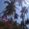 84cdac9f2457258df261eb63784ceddd-p_20140213_135816.jpg