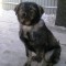 8ba1ddb46df1c6d3bcddcb2b7b03cc6b-lyuska_2.jpg
