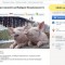 8bdcf2bde9ae9ed55b84065db4a3d791-kiev.jpg