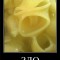90c5ba70598e.jpg