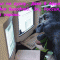 92d5467d3444a6798e94879ad97c6e36-1225530305_42.gif