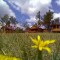 420-p19sdc9v4i1dap5bu1qcs9o81q8v4.jpg