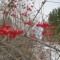 964ed84b58e8a0dbb92052b8d5afb887-img_2306.jpg