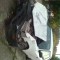 985d132cad9dfecdcbef26452ad2009e-a_a.jpg