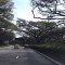 9bd9c1cd46e7ec9d5b0302ea78221286-p_20140207_103254.jpg