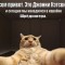 9dee869c5aabc4558c7e21f8e72a3657-23.jpg