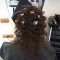 DSC01394.JPG
