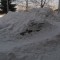 IMG_4999.JPG
