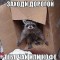 a1110a2563fa17df722b79720491e20b-image.jpg