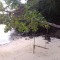a3c5652abdeea5246586b6fe0fc3804c-p_20140214_073132.jpg