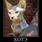 a9b317b757d73c30c721fd4712ddf8d9-1266403338_864758_kote.jpg