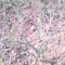ae4735774814a12cf39eb15af25a28fb-chesnok.jpg