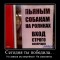 aed14ba4eedca6352c39e7cd346212ae-109481_segodnya-tyi-pobedila.jpg