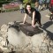 b386627b6c152fc04ed47e1948cf4bca-kniga_zhelaniy.jpg