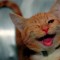 b6f2bff5bf5ff5798af15c36c4cc67ab-20110909214752_machine.jpg