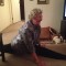 b7be9ea1219aa4ea70502153096c3297-cool_grandmas_05.jpg