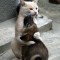 b7ff9a63c69fb12c8f1c1725454f27ce-i-kno-that-feel-bro-2.jpg